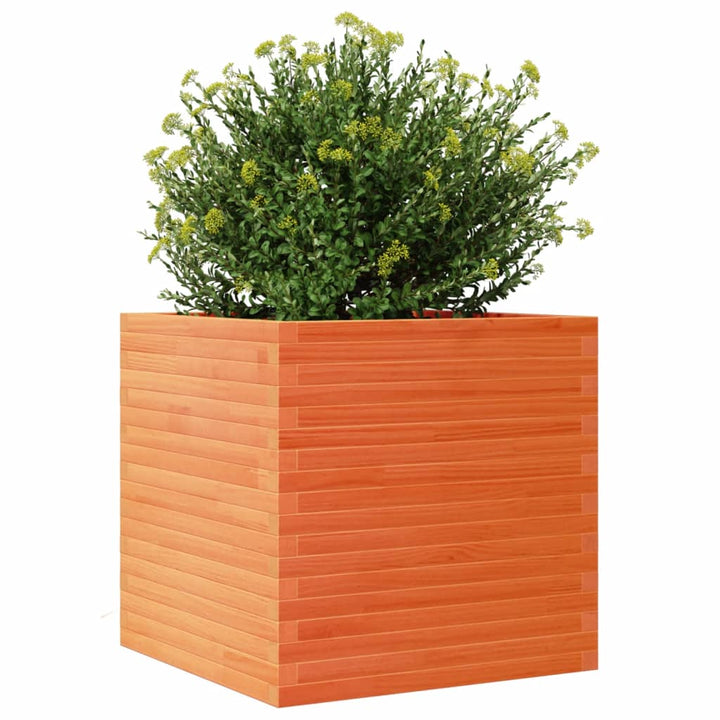 plantekasse 70x70x68,5 cm massivt fyrretræ gyldenbrun