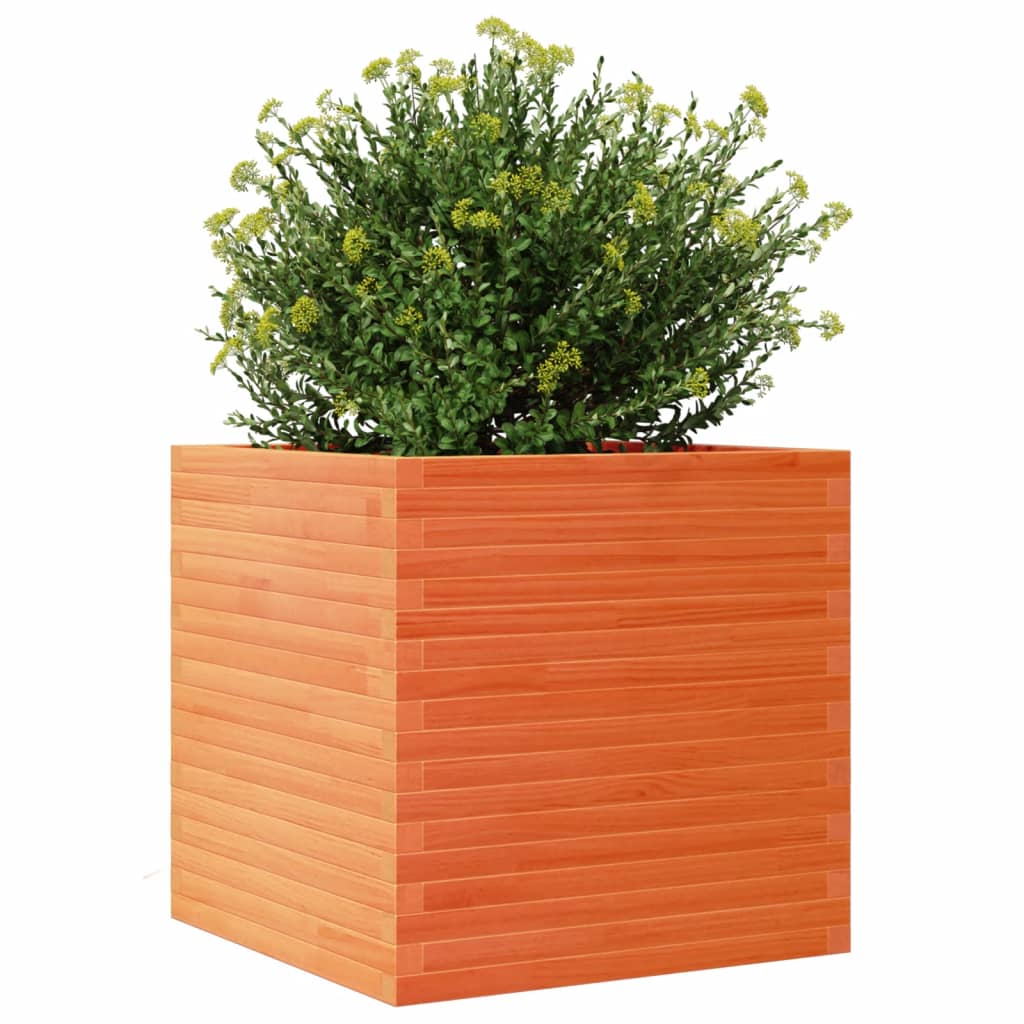 plantekasse 70x70x68,5 cm massivt fyrretræ gyldenbrun
