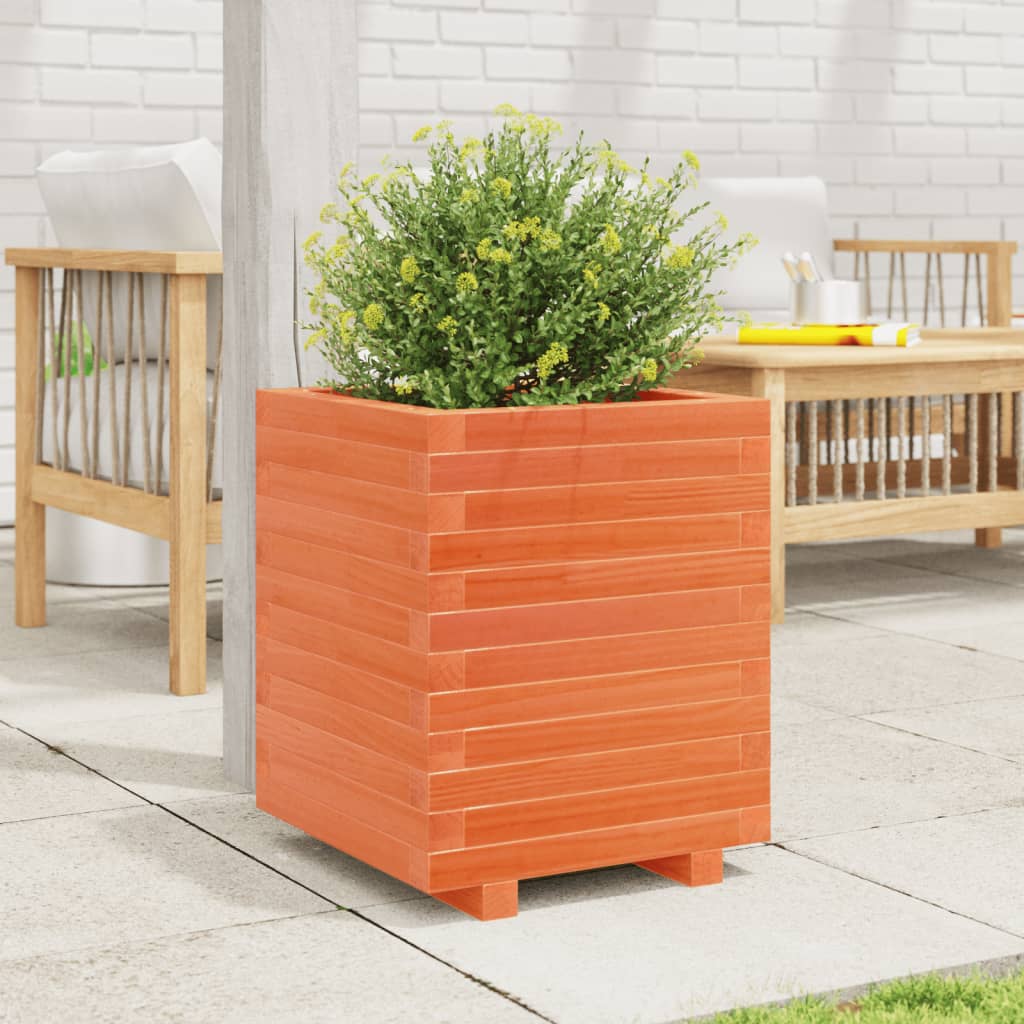 plantekasse 40x40x49,5 cm massivt fyrretræ gyldenbrun