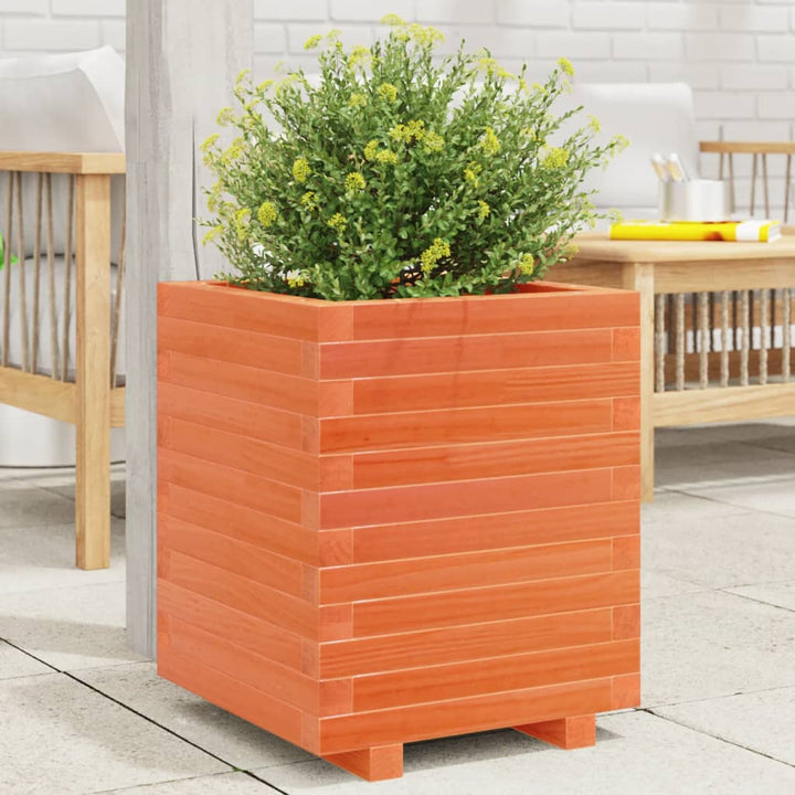 plantekasse 40x40x49,5 cm massivt fyrretræ gyldenbrun
