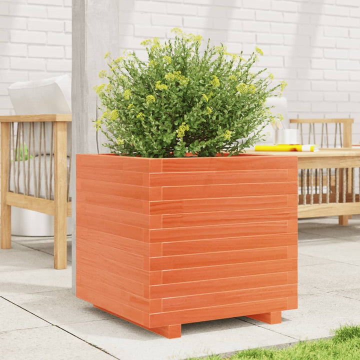 plantekasse 50x50x49,5 cm massivt fyrretræ gyldenbrun