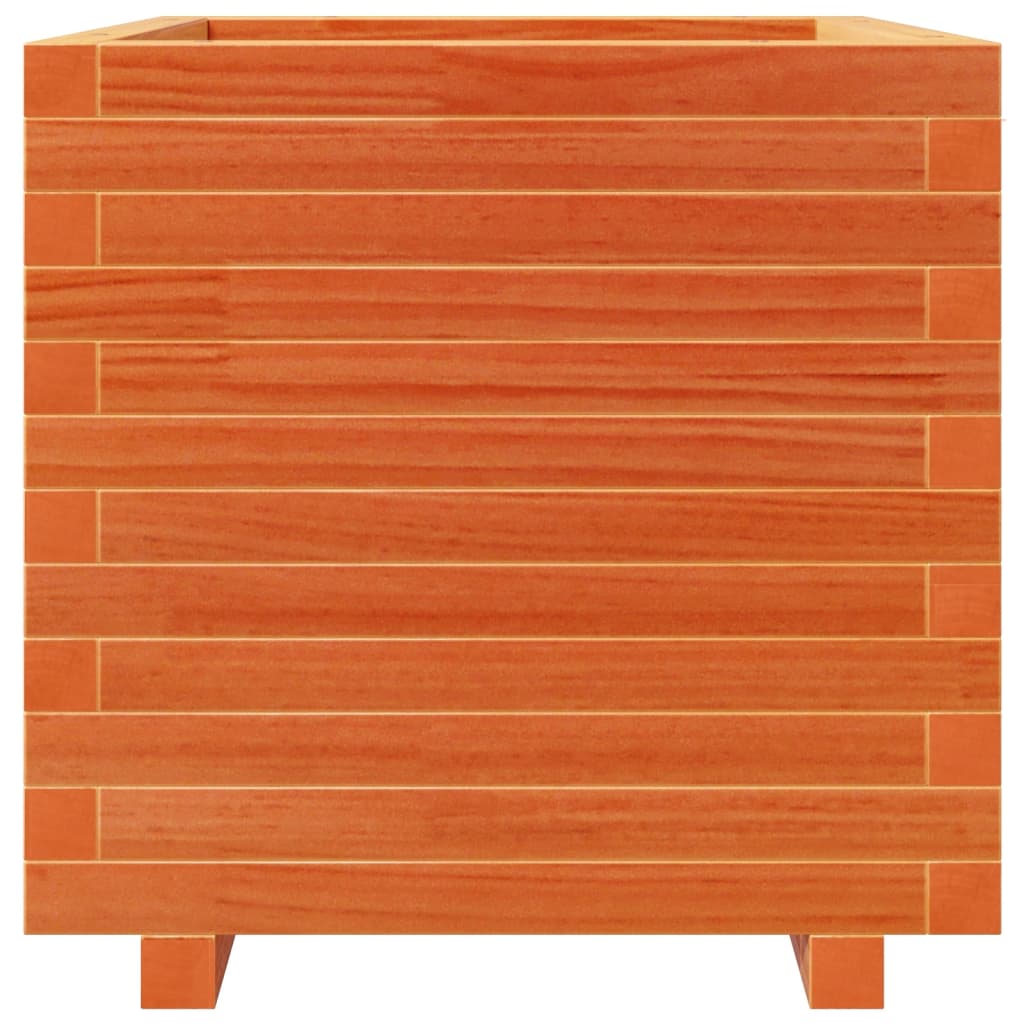 plantekasse 50x50x49,5 cm massivt fyrretræ gyldenbrun