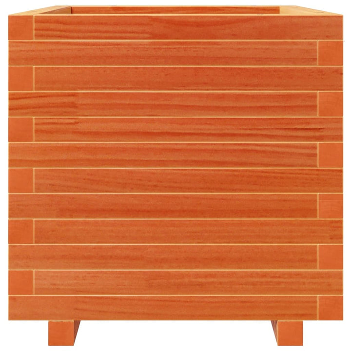 plantekasse 50x50x49,5 cm massivt fyrretræ gyldenbrun