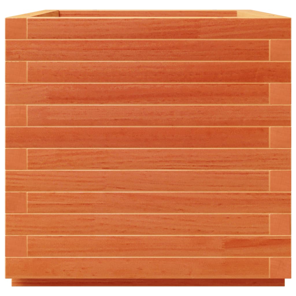 plantekasse 50x50x49,5 cm massivt fyrretræ gyldenbrun