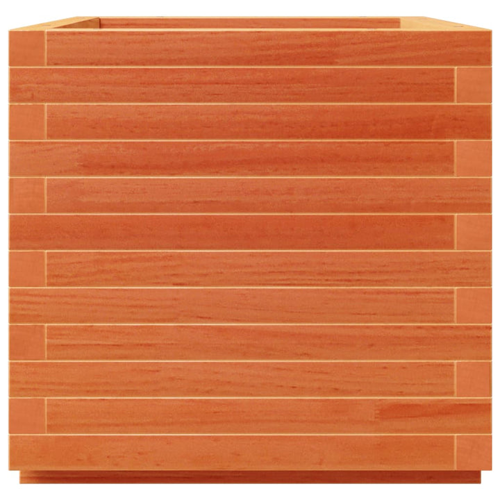 plantekasse 50x50x49,5 cm massivt fyrretræ gyldenbrun