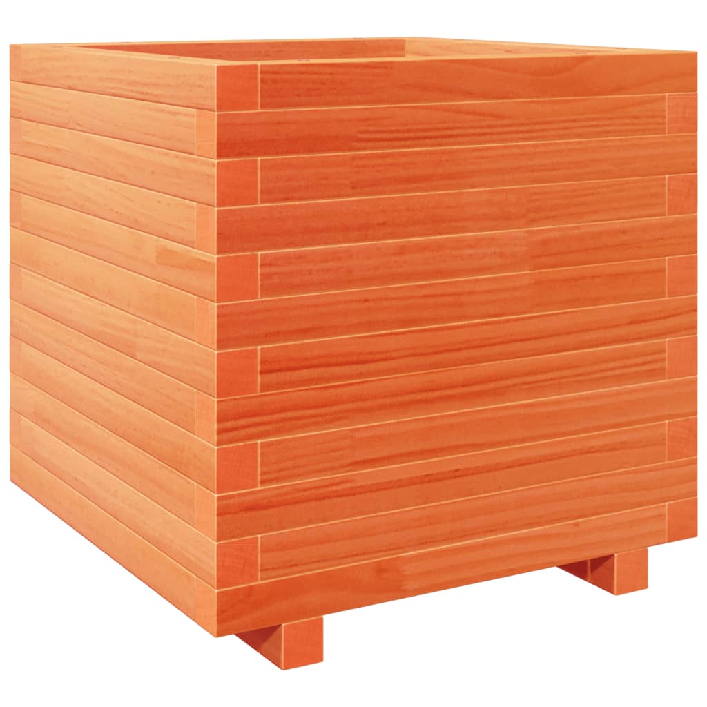 plantekasse 50x50x49,5 cm massivt fyrretræ gyldenbrun