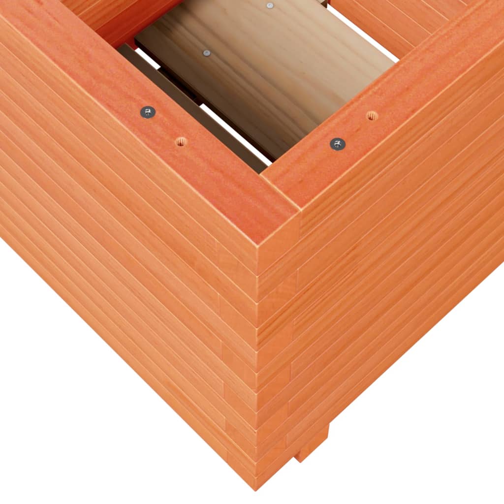 plantekasse 50x50x49,5 cm massivt fyrretræ gyldenbrun