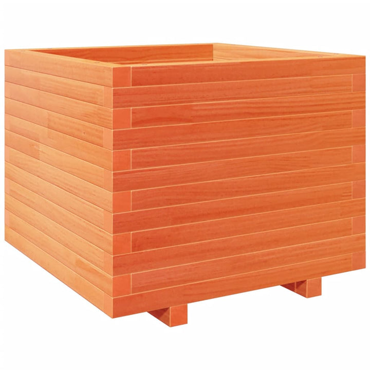 plantekasse 60x60x49,5 cm massivt fyrretræ gyldenbrun