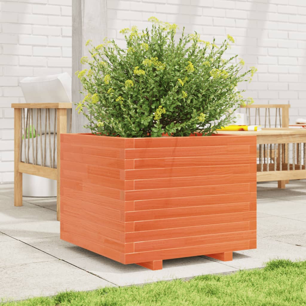plantekasse 60x60x49,5 cm massivt fyrretræ gyldenbrun