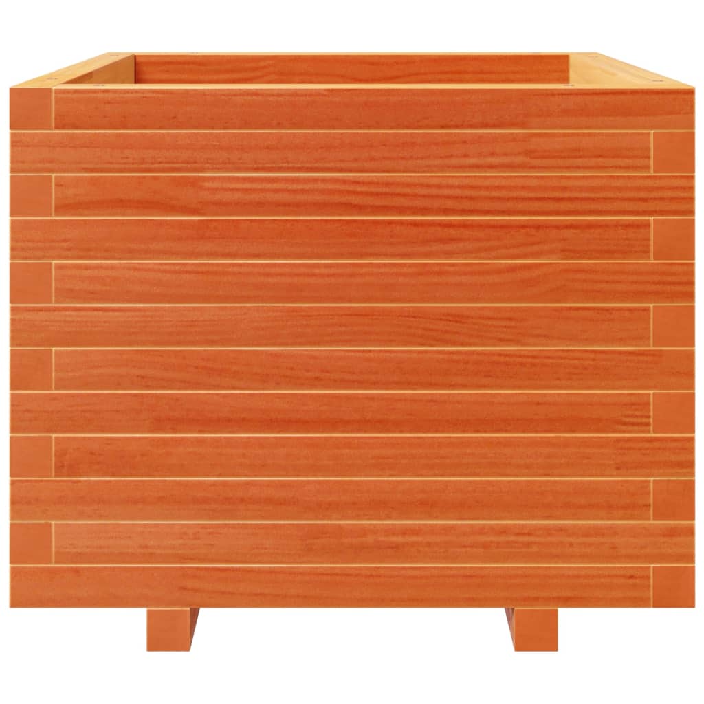 plantekasse 60x60x49,5 cm massivt fyrretræ gyldenbrun