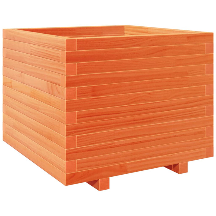 plantekasse 60x60x49,5 cm massivt fyrretræ gyldenbrun