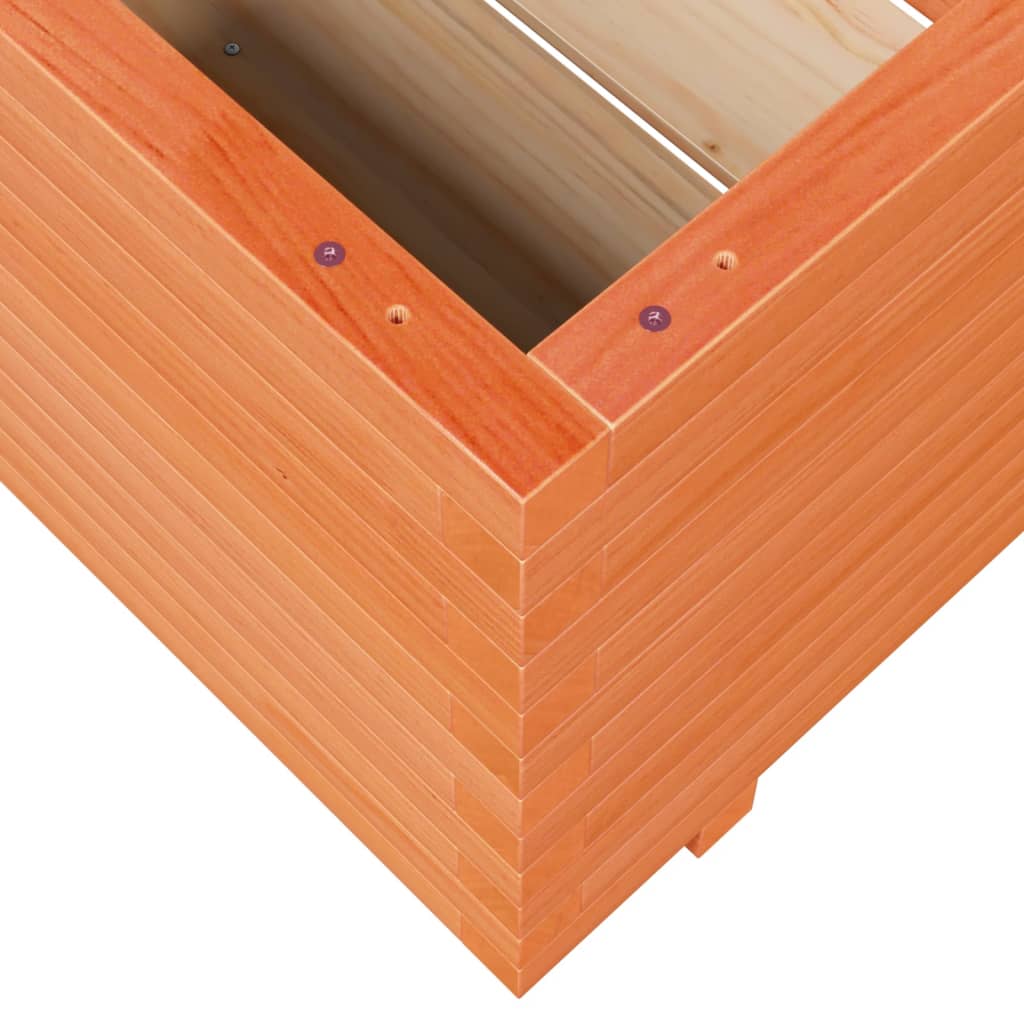 plantekasse 60x60x49,5 cm massivt fyrretræ gyldenbrun