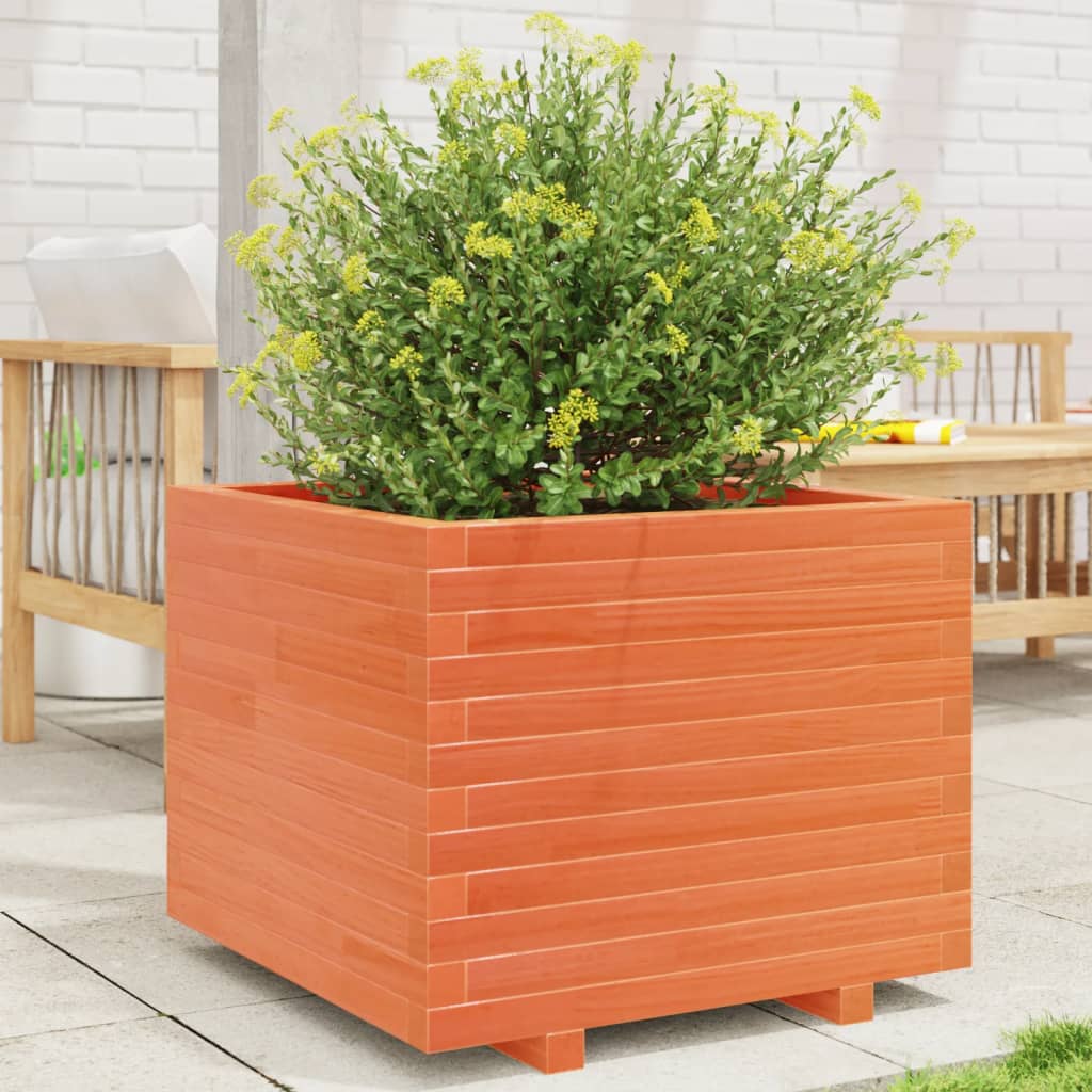 plantekasse 60x60x49,5 cm massivt fyrretræ gyldenbrun