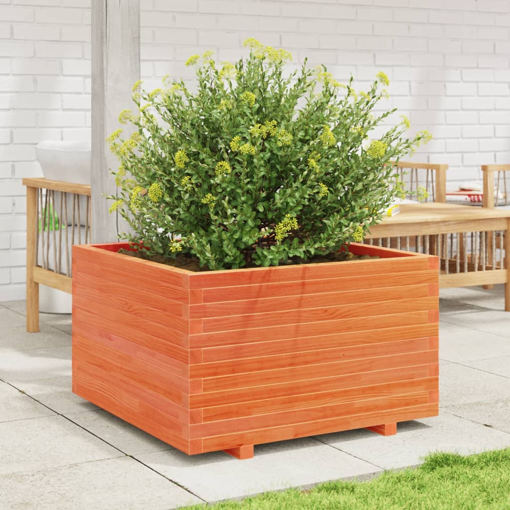 plantekasse 80x80x49,5 cm massivt fyrretræ gyldenbrun
