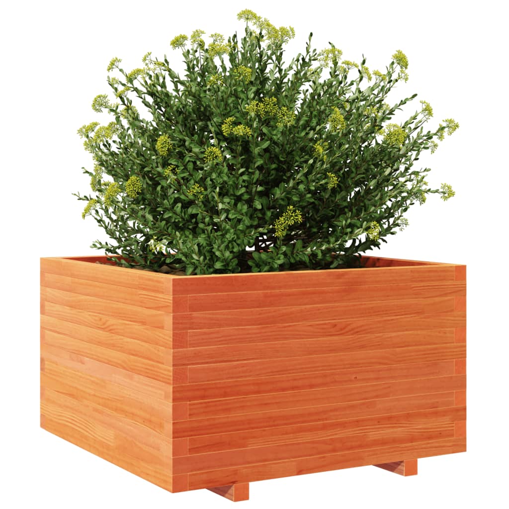 plantekasse 80x80x49,5 cm massivt fyrretræ gyldenbrun