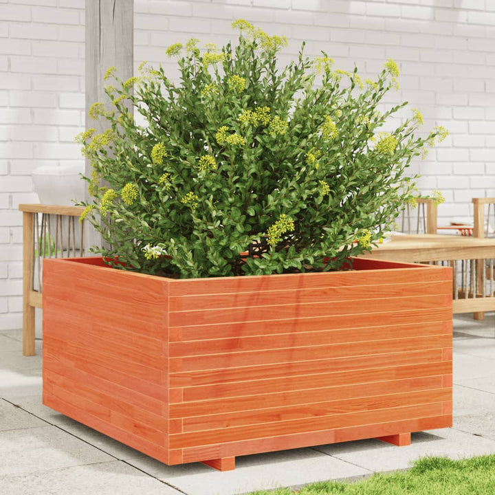 plantekasse 90x90x49,5 cm massivt fyrretræ gyldenbrun