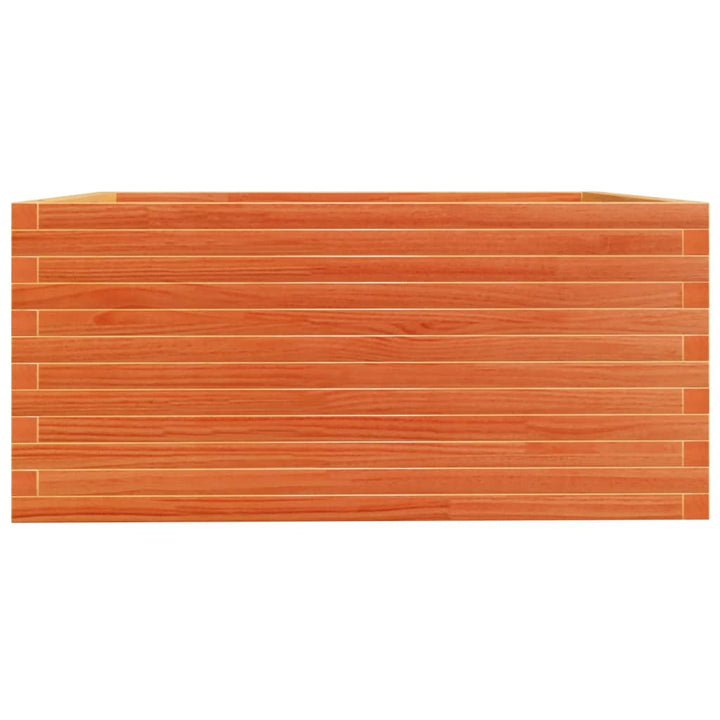 plantekasse 100x100x49,5 cm massivt fyrretræ gyldenbrun