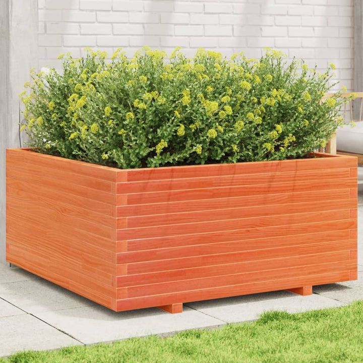 plantekasse 100x100x49,5 cm massivt fyrretræ gyldenbrun