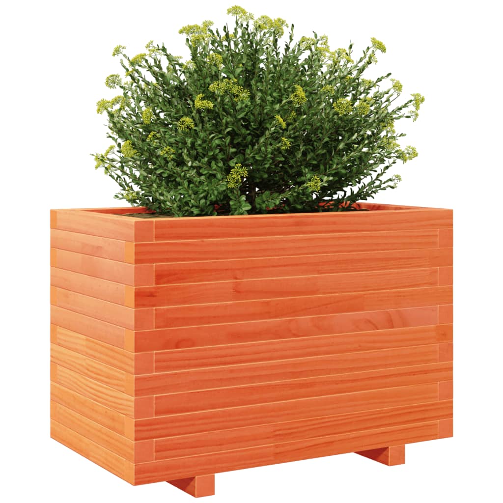 plantekasse 70x40x49,5 cm massivt fyrretræ gyldenbrun