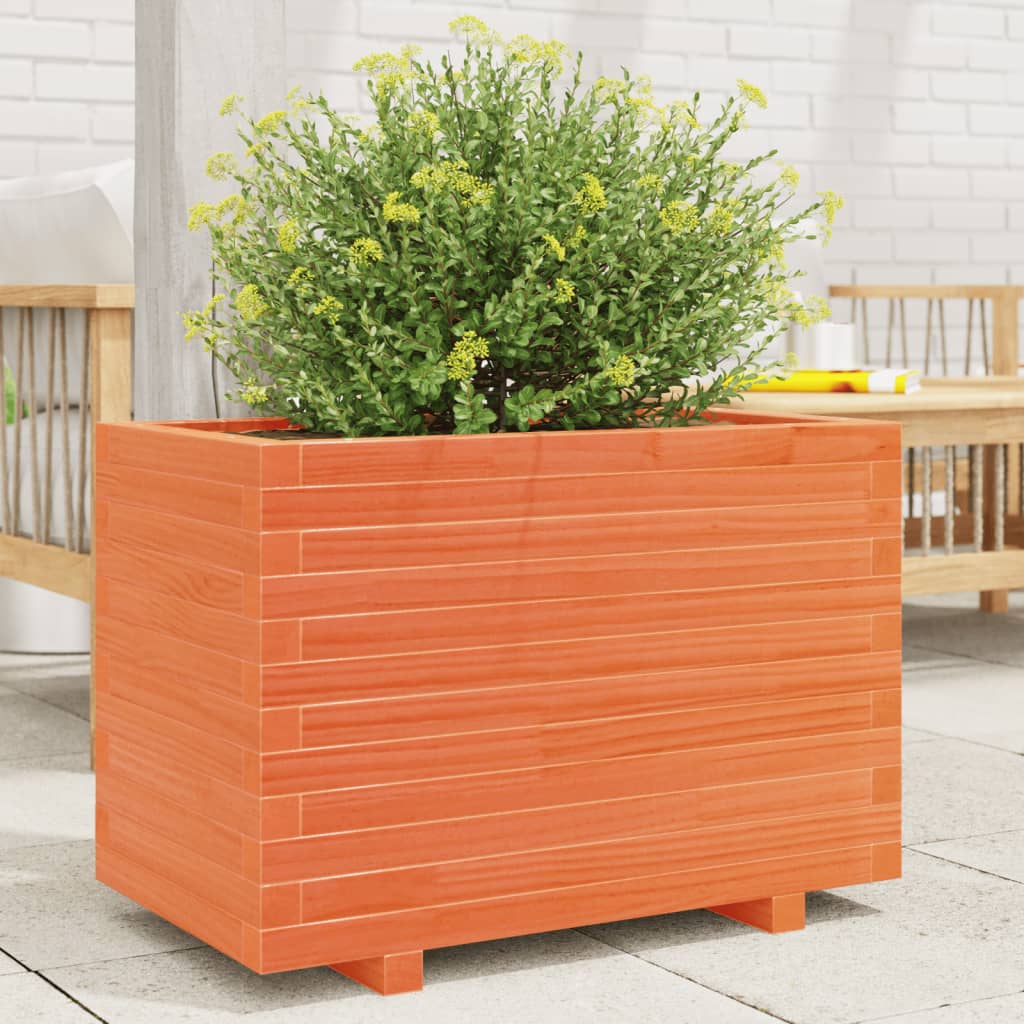 plantekasse 70x40x49,5 cm massivt fyrretræ gyldenbrun