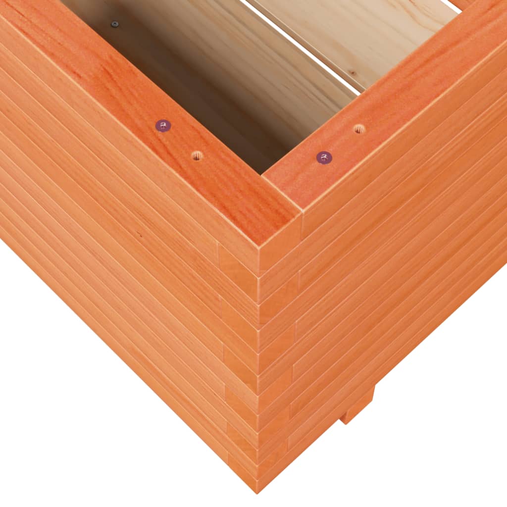 plantekasse 90x60x49,5 cm massivt fyrretræ gyldenbrun