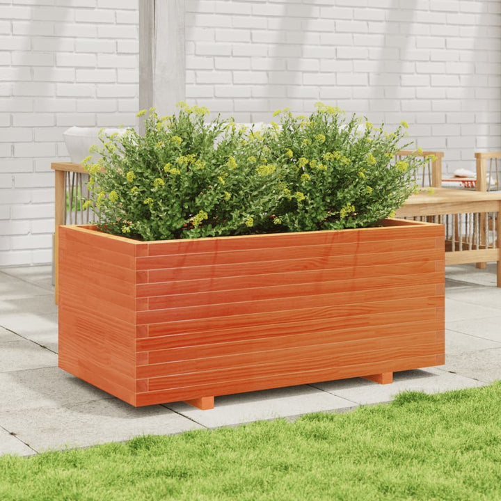 plantekasse 110x60x49,5 cm massivt fyrretræ gyldenbrun