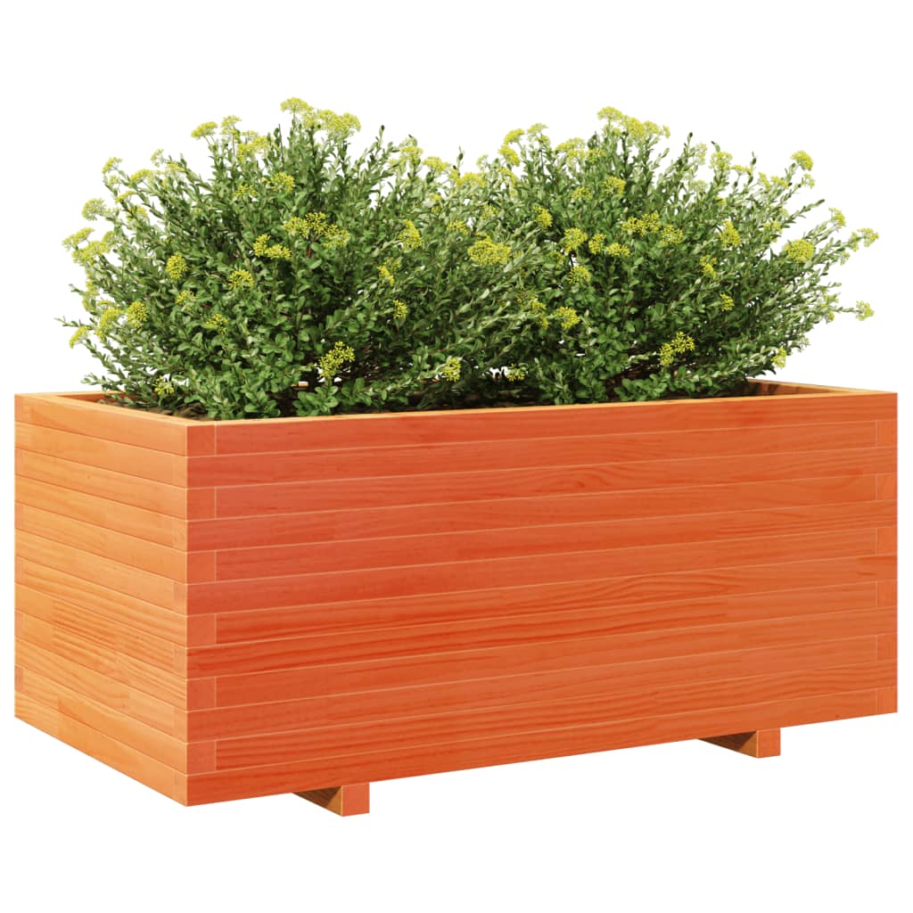 plantekasse 110x60x49,5 cm massivt fyrretræ gyldenbrun