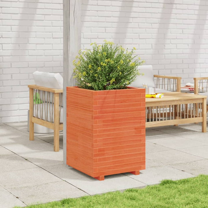 plantekasse 50x50x72,5 cm massivt fyrretræ gyldenbrun