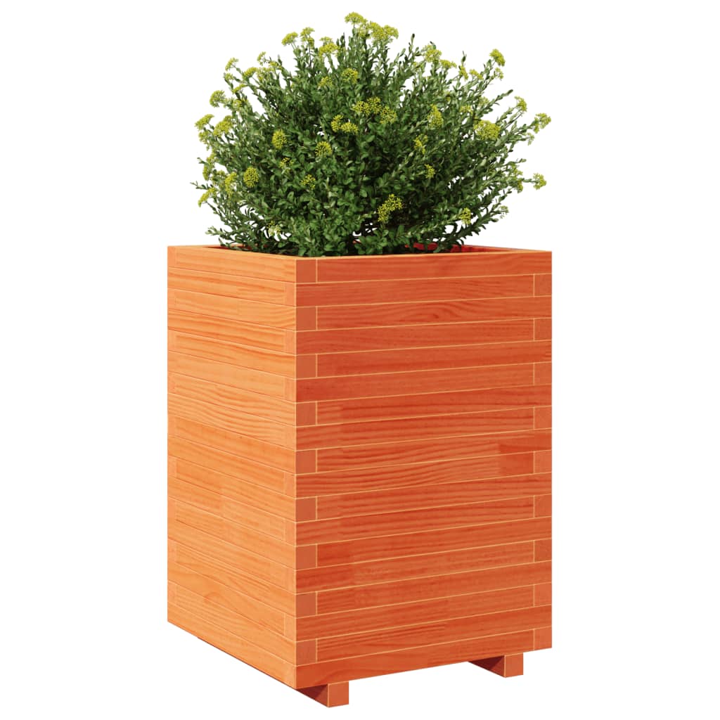 plantekasse 50x50x72,5 cm massivt fyrretræ gyldenbrun