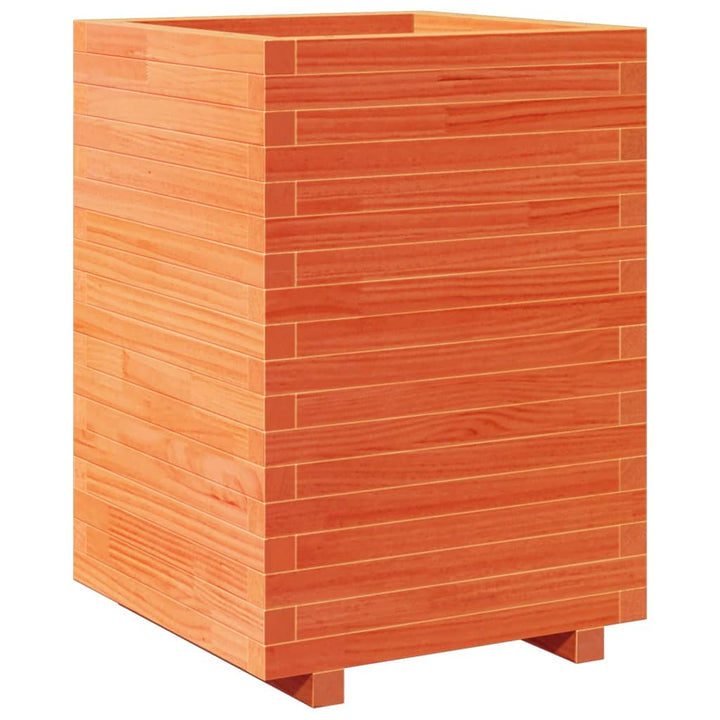 plantekasse 50x50x72,5 cm massivt fyrretræ gyldenbrun