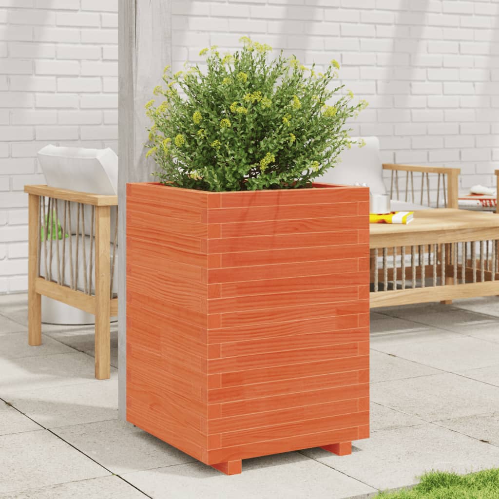 plantekasse 50x50x72,5 cm massivt fyrretræ gyldenbrun
