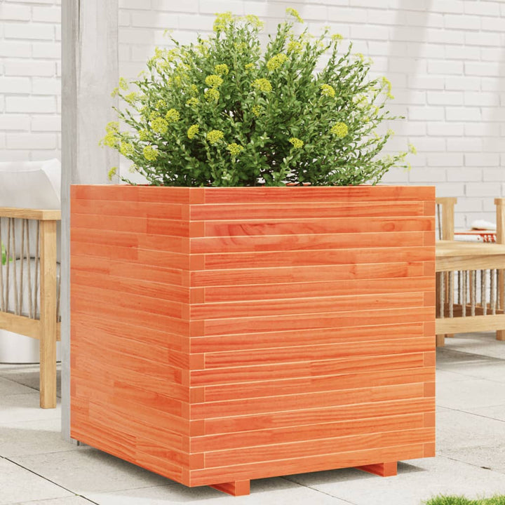 plantekasse 70x70x72 cm massivt fyrretræ gyldenbrun