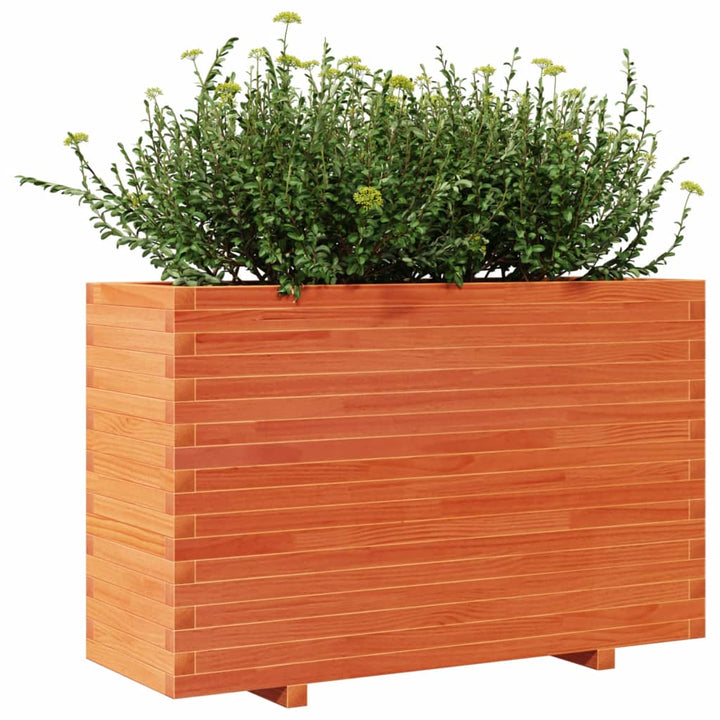 plantekasse 110x40x72 cm massivt fyrretræ gyldenbrun