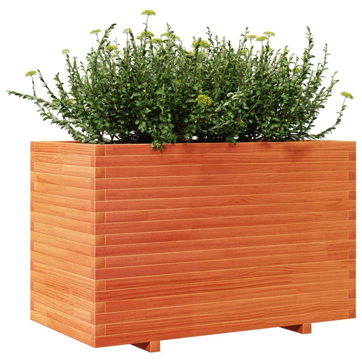 plantekasse 110x60x72 cm massivt fyrretræ gyldenbrun