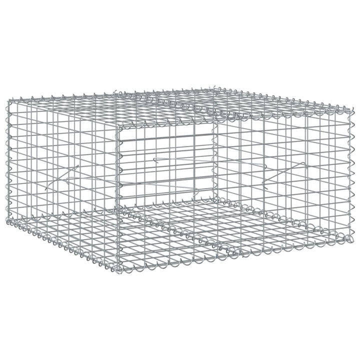 gabionkurv med cover 100x100x50 cm galvaniseret jern
