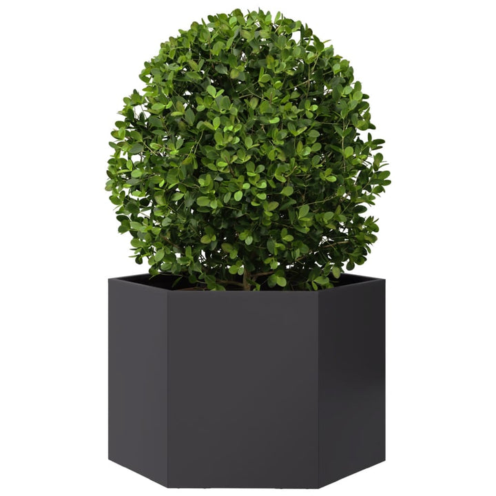 plantekasse 69x60x45 cm sekskantet stål sort