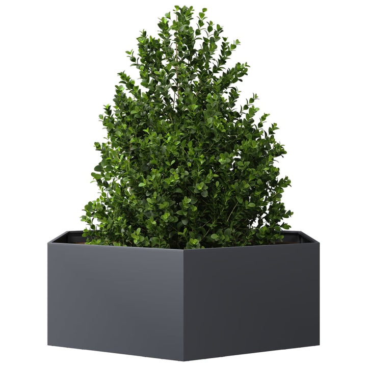 plantekasse 138x120x45 cm sekskantet stål antracitgrå