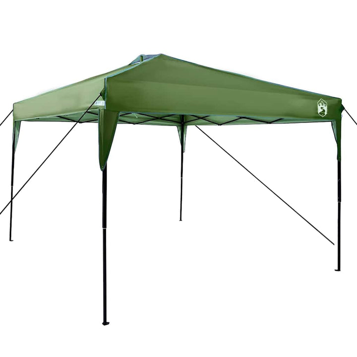Canopy Tent Grøn 290 x 290 x 251 cm Stof