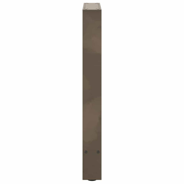 spisebordsben naturstål 2 stk. 50x(72-73) cm stål