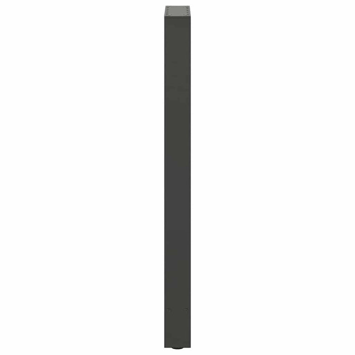 barbordsben antracit 2 stk. 40x(100-101) cm stål