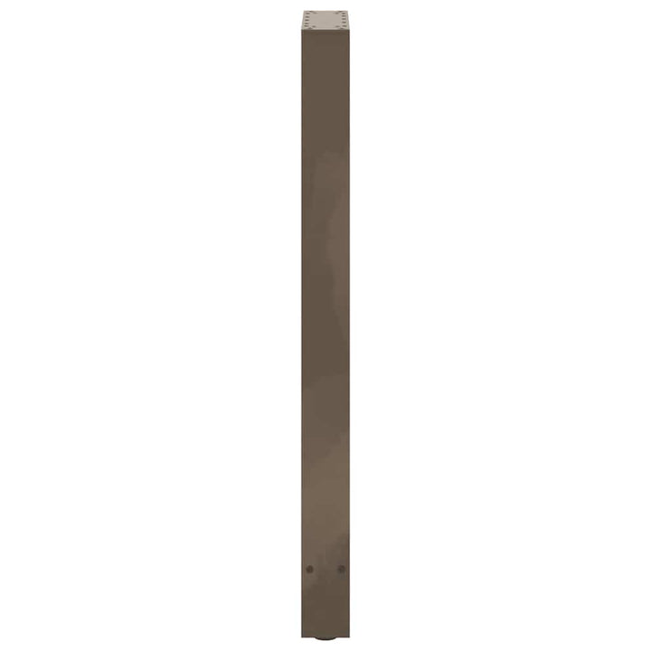 barbordsben naturstål 2 stk. 40x(100-101) cm stål