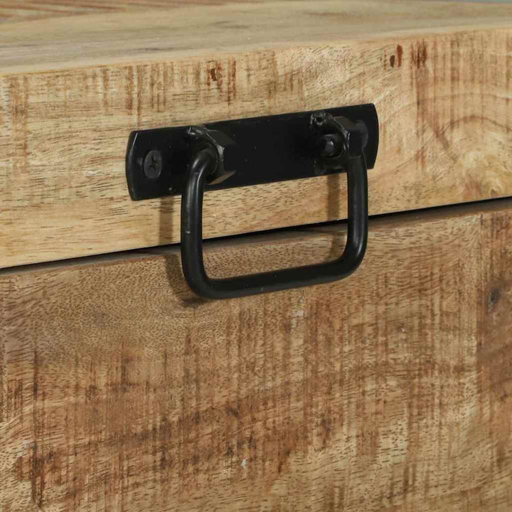 Opbevaringskister Brun 60 x 30 x 30 cm Massivt mangotræ