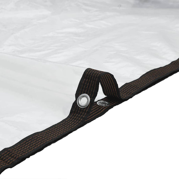 Planteafdækning med øjer 3x6 m Polyethylen