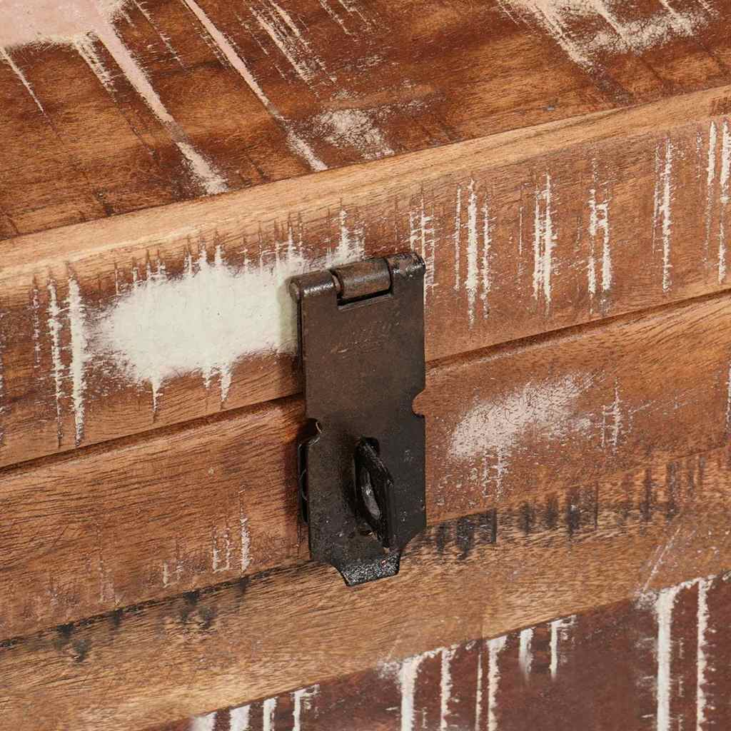 Opbevaringskasse med opbevaring med dør Brun Massivt mangotræ