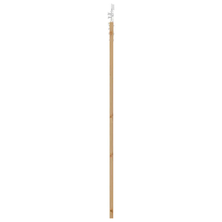 Skydedør Naturfarvet 61 x 198,5 cm Massivt fyrretræ og glas