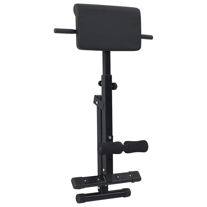 Hyperextension bænk Sort 100,5 x 70 x 78 cm Pulverlakeret stål
