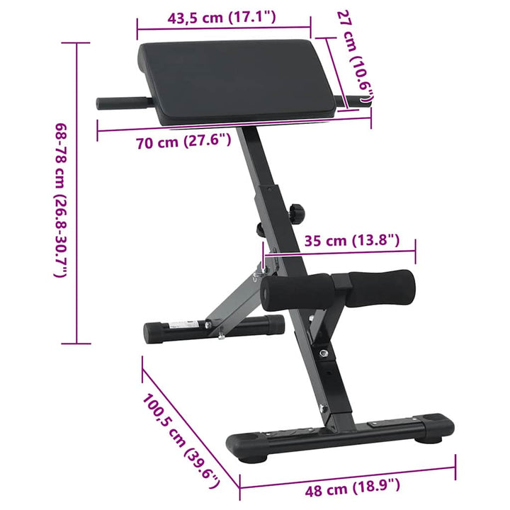 Hyperextension bænk Sort 100,5 x 70 x 78 cm Pulverlakeret stål