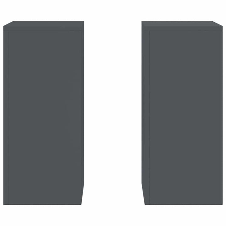 Planteholder 2 pcs Antracit 24 x 24 x 55 cm Stål