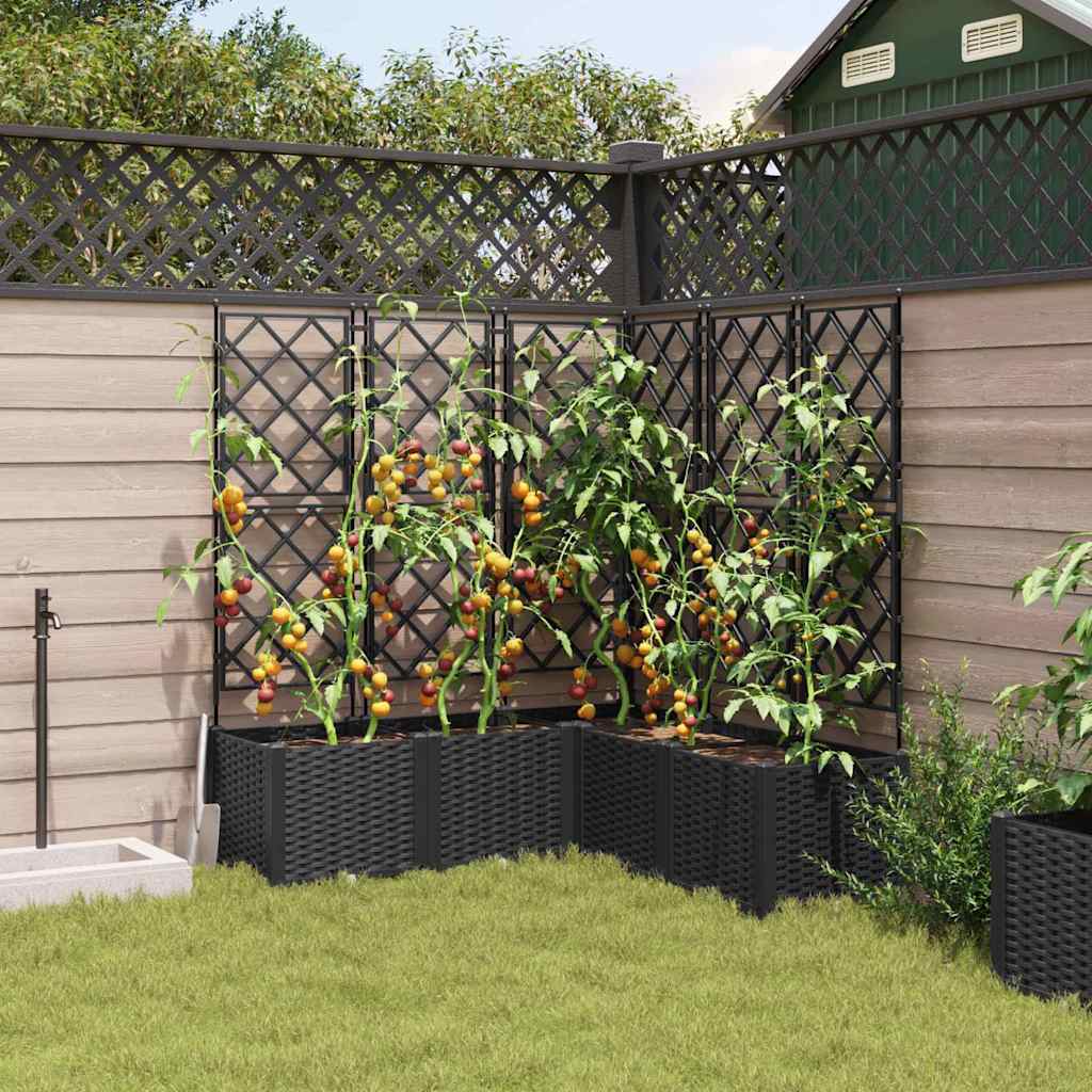 Have Blomsterkrukke 5 stk. Sort 120 x 120 x 143 cm PP