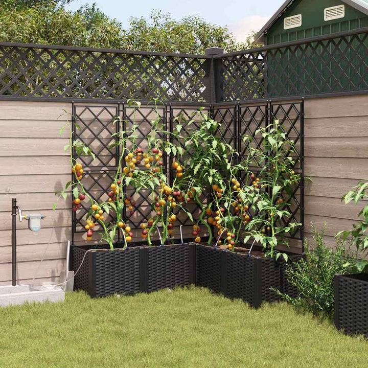 Have Blomsterkrukke 5 stk. Sort 120 x 120 x 142 cm PP